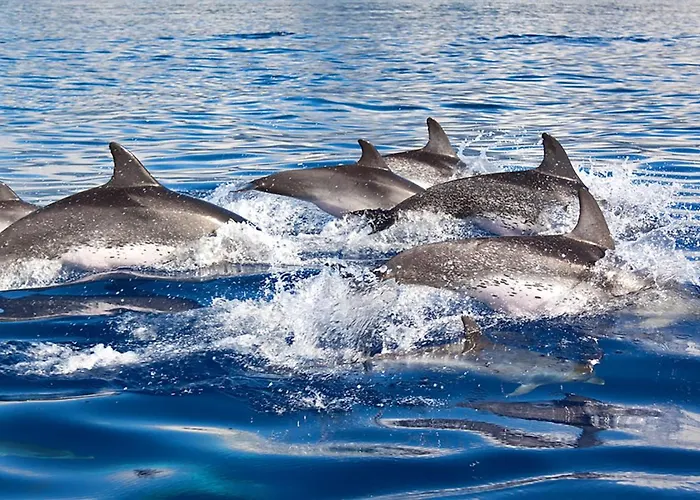 Montchavin * Quinta do Conde